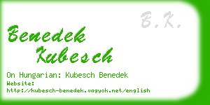 benedek kubesch business card